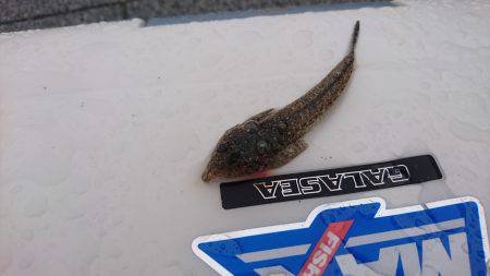 嵐の中でも釣り