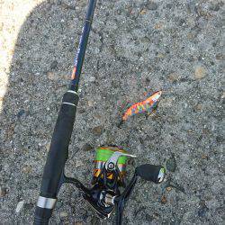 朝からショアジギング