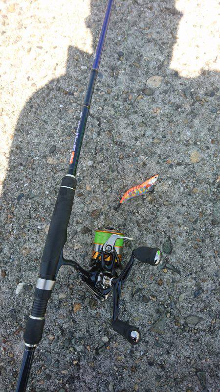 朝からショアジギング