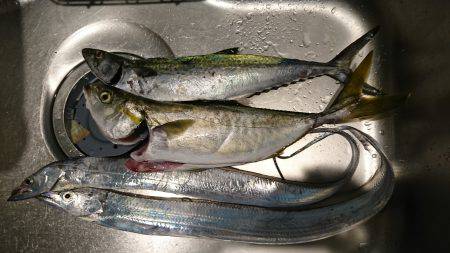 今年初ポーアイ