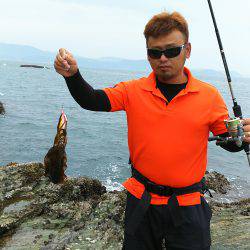 アオリイカ228gゲット