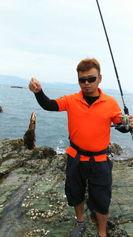 アオリイカ228gゲット