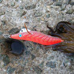 teamゲッソー調査隊