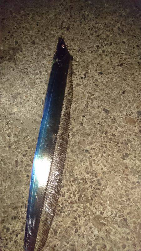 久しぶりのエサ釣り