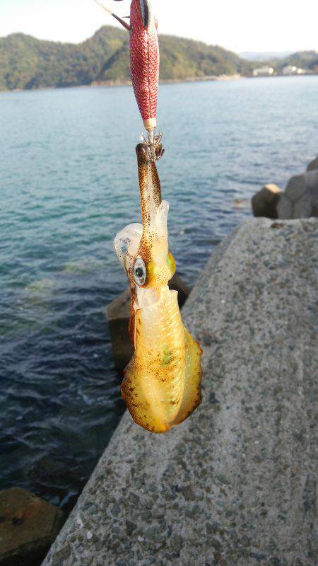 teamゲッソー調査隊