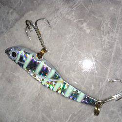 カツオ&タチウオ