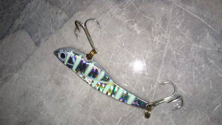 カツオ&タチウオ