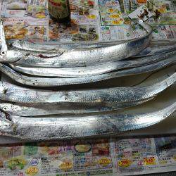 シーサイドコスモへ太刀魚を釣りに