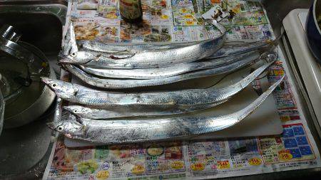 シーサイドコスモへ太刀魚を釣りに