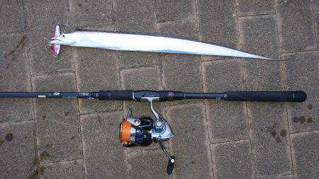 台風前のタチウオ