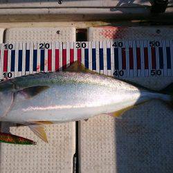 ジギング&タイラバ