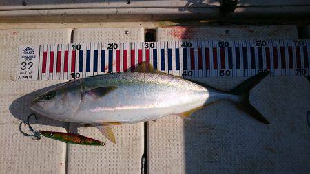 ジギング&タイラバ