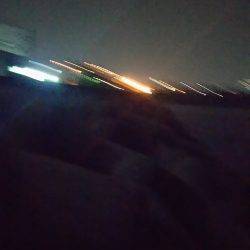 魚もイカもいない