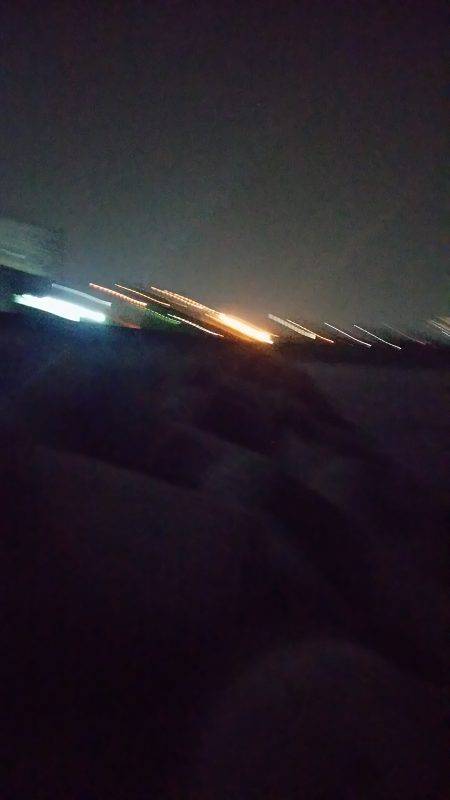 魚もイカもいない