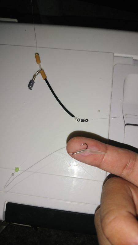 続・豆アジング