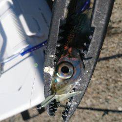 デイアジング？