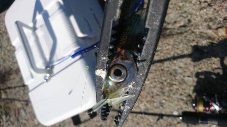 デイアジング？