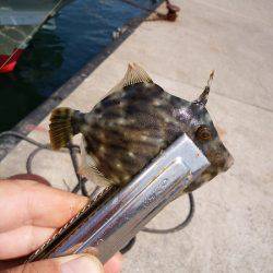 キスはどこへ…？