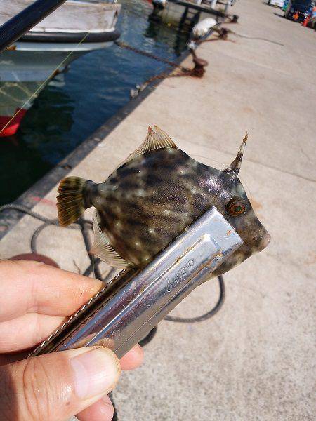 キスはどこへ…？