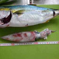 やっと気配が…