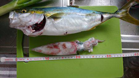 やっと気配が…