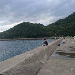 亀浦観光港にて