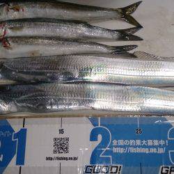 ゆうまづめ狙い