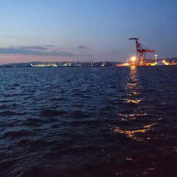 サイズは細いが数は釣れる