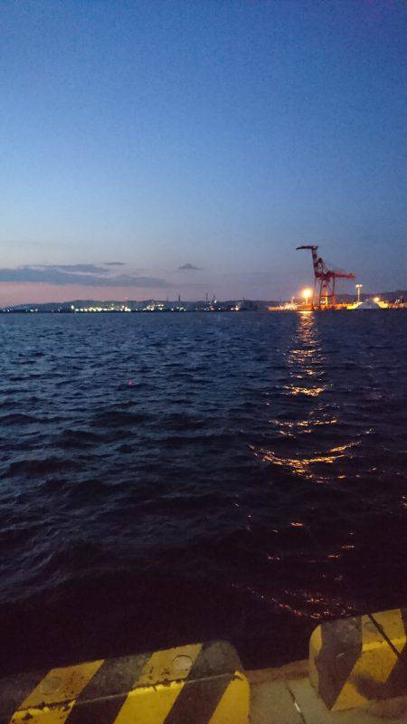 サイズは細いが数は釣れる