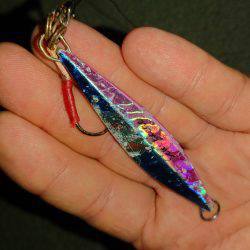 今年初サゴシ！