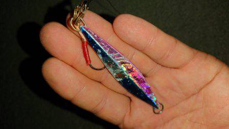 今年初サゴシ！