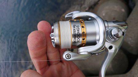 淡路島太刀魚調査