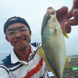 メタルマルがハマりました。