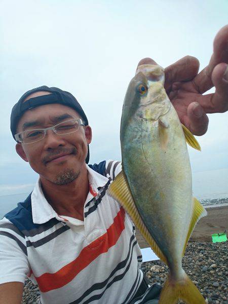 メタルマルがハマりました。