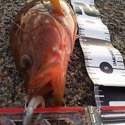 高活性とは言えないけど