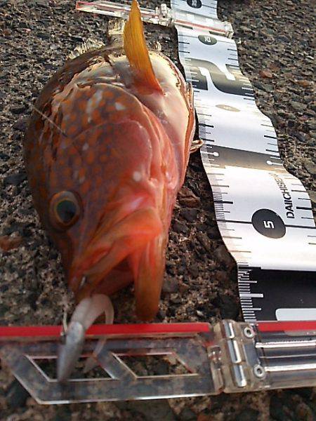 高活性とは言えないけど