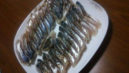 上から下までタチウオ