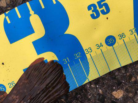 阿久根港横の亀崎にてキジハタ