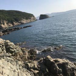 今年初渡船でエギング