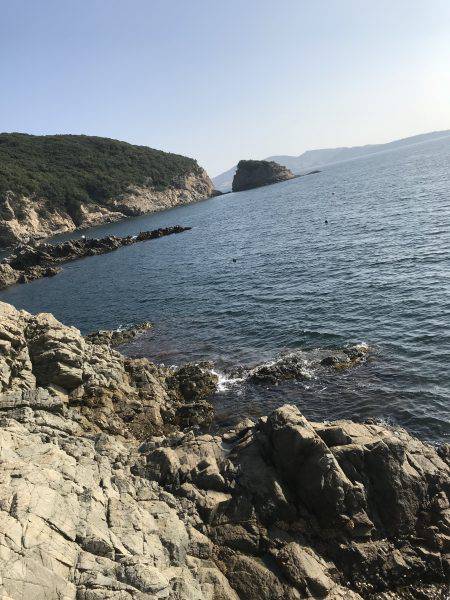 今年初渡船でエギング