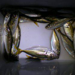 台風が来る前に