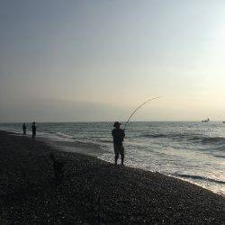 ギリギリイナダサイズ