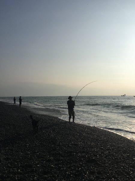 ギリギリイナダサイズ