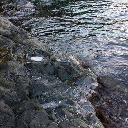 激シブ‥エギング