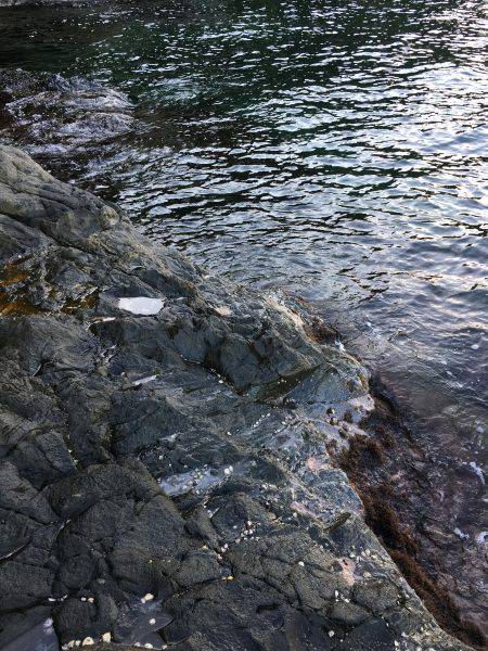 激シブ‥エギング