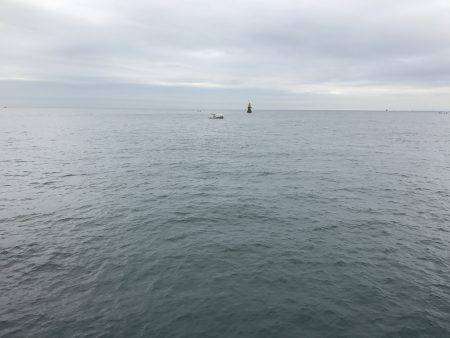 なんとか、ボウズは…。