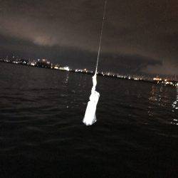 試し釣り&初調査