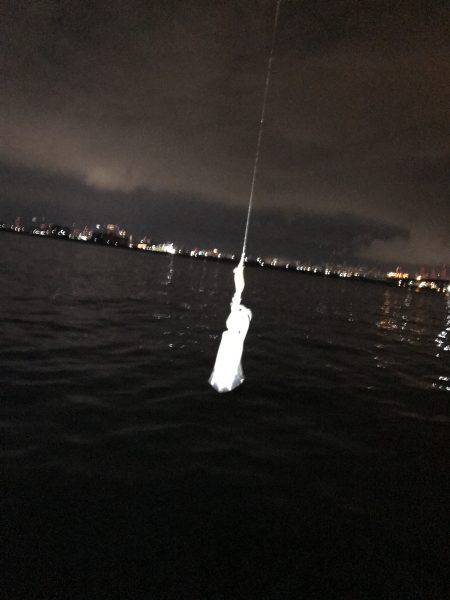 試し釣り&初調査