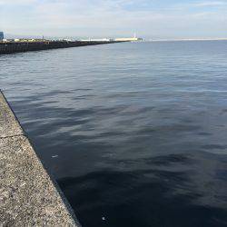 岸和田渡船で一文字にて