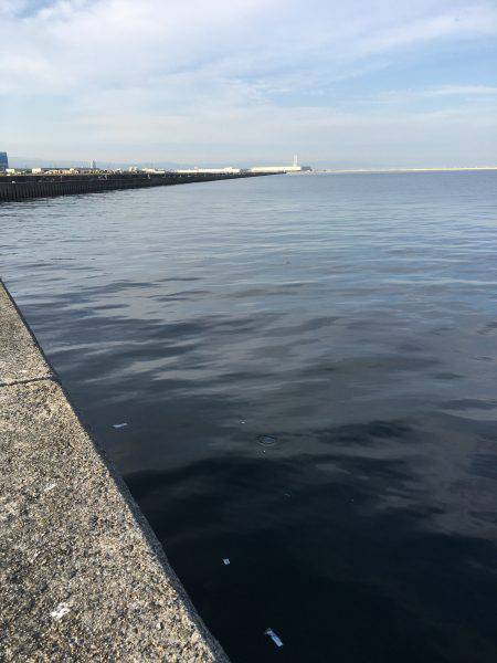 岸和田渡船で一文字にて